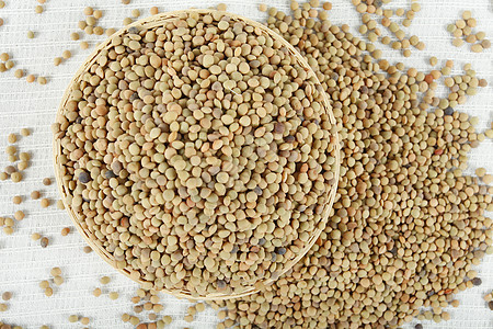 扁豆高清圖片免費(fèi)下載-正版圖片500499028