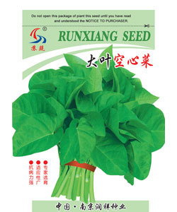 大葉空心菜_種子網-天鴻種子網產品中心-最新最全的種子供求信息,辣椒種子,黃瓜種子,番茄種子